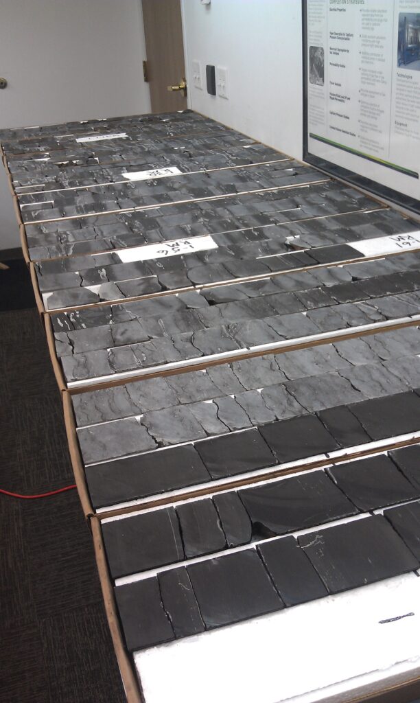 Cut rock cores from the Bakken Formation laid out in rows for observation.