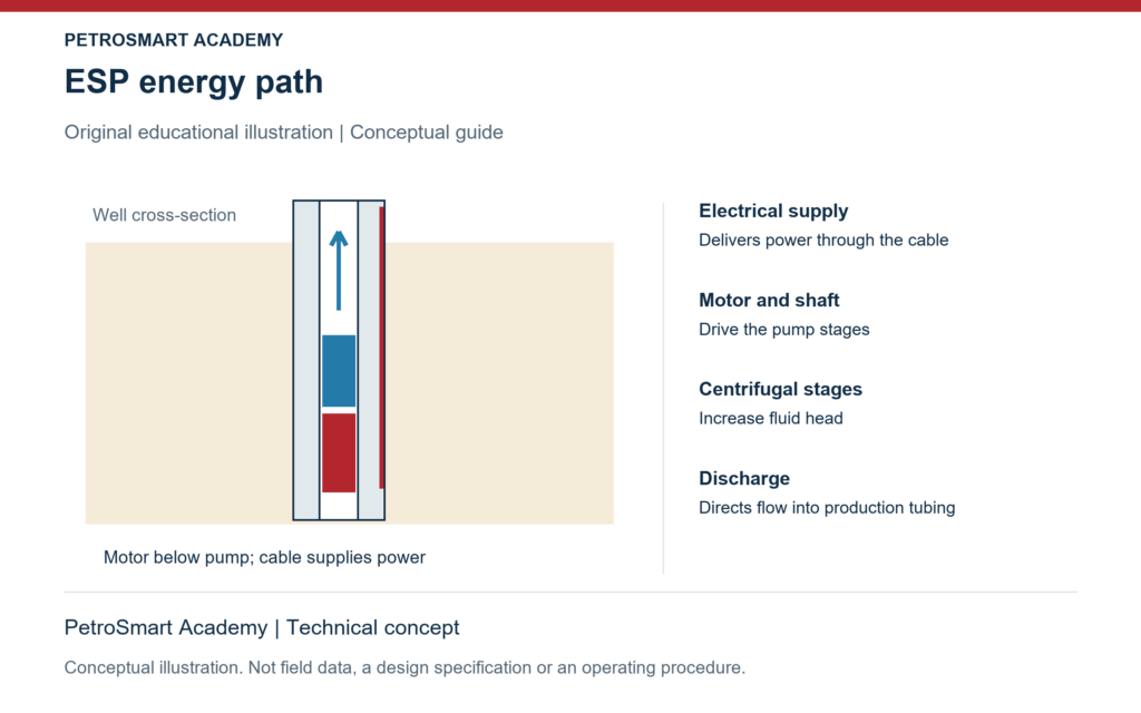 ESP energy path. Electrical supply: Delivers power through the cable. Motor and shaft: Drive the pump stages.