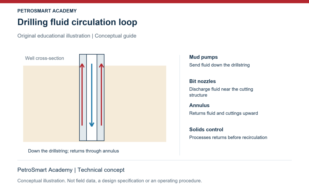Drilling fluid circulation loop. Mud pumps: Send fluid down the drillstring. Bit nozzles: Discharge fluid near the cutting structure.